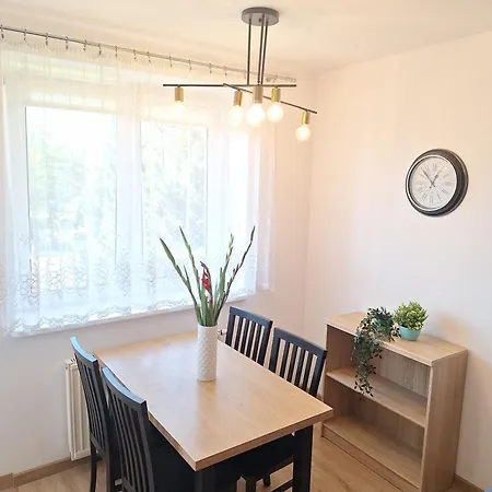 Apartment Grand Apartament - Bezproblemowy Ogolnie Dostepny Parking, Blisko Szpital Arkonska